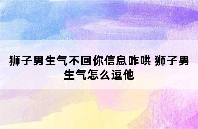 狮子男生气不回你信息咋哄 狮子男生气怎么逗他